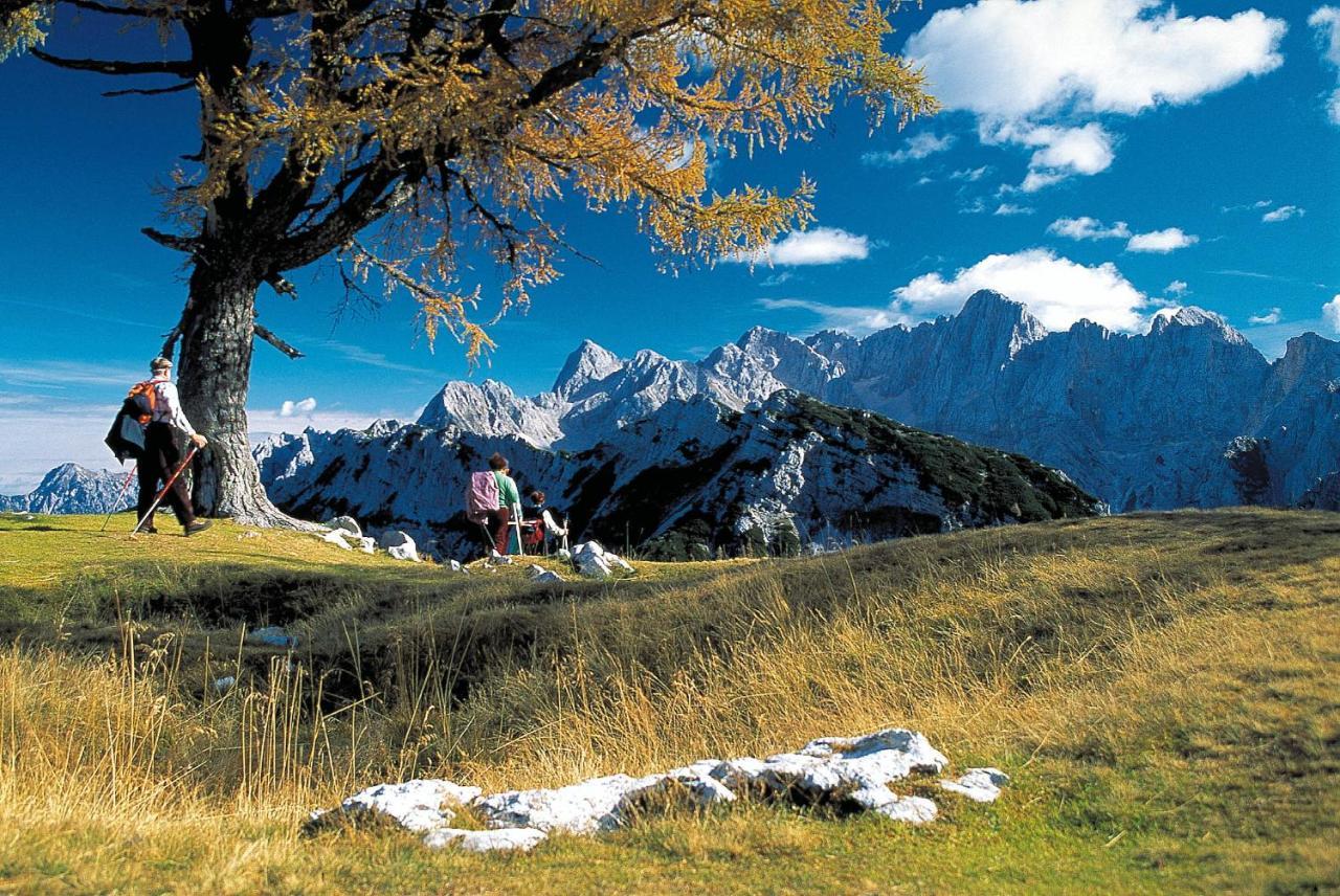 Kronau Chalet Resort Kranjska Gora Kültér fotó